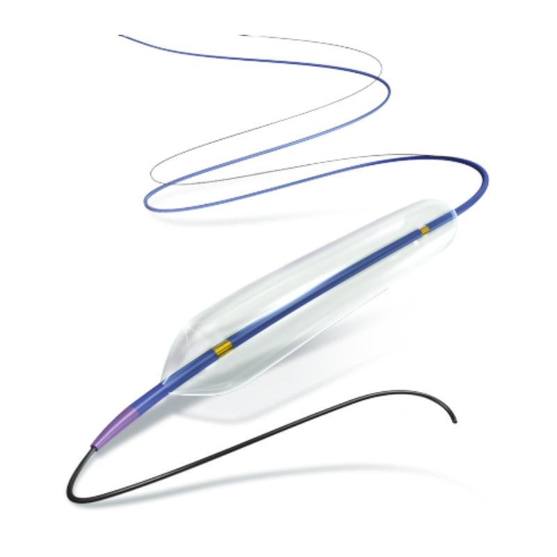 Sterling Balloon Dilatation Catheter